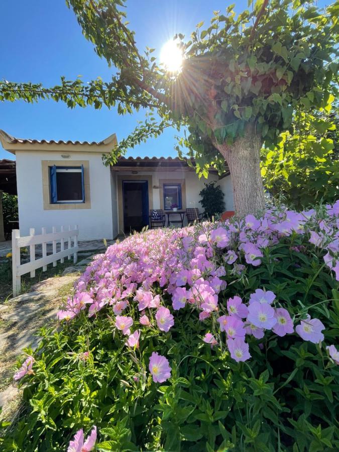 Vasilopoulos Estate โคโรนิ ภายนอก รูปภาพ
