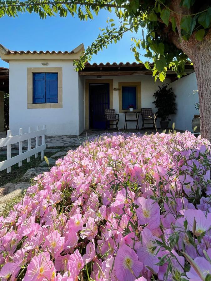 Vasilopoulos Estate โคโรนิ ภายนอก รูปภาพ